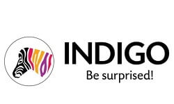 top-10-paint-companies-in-india5